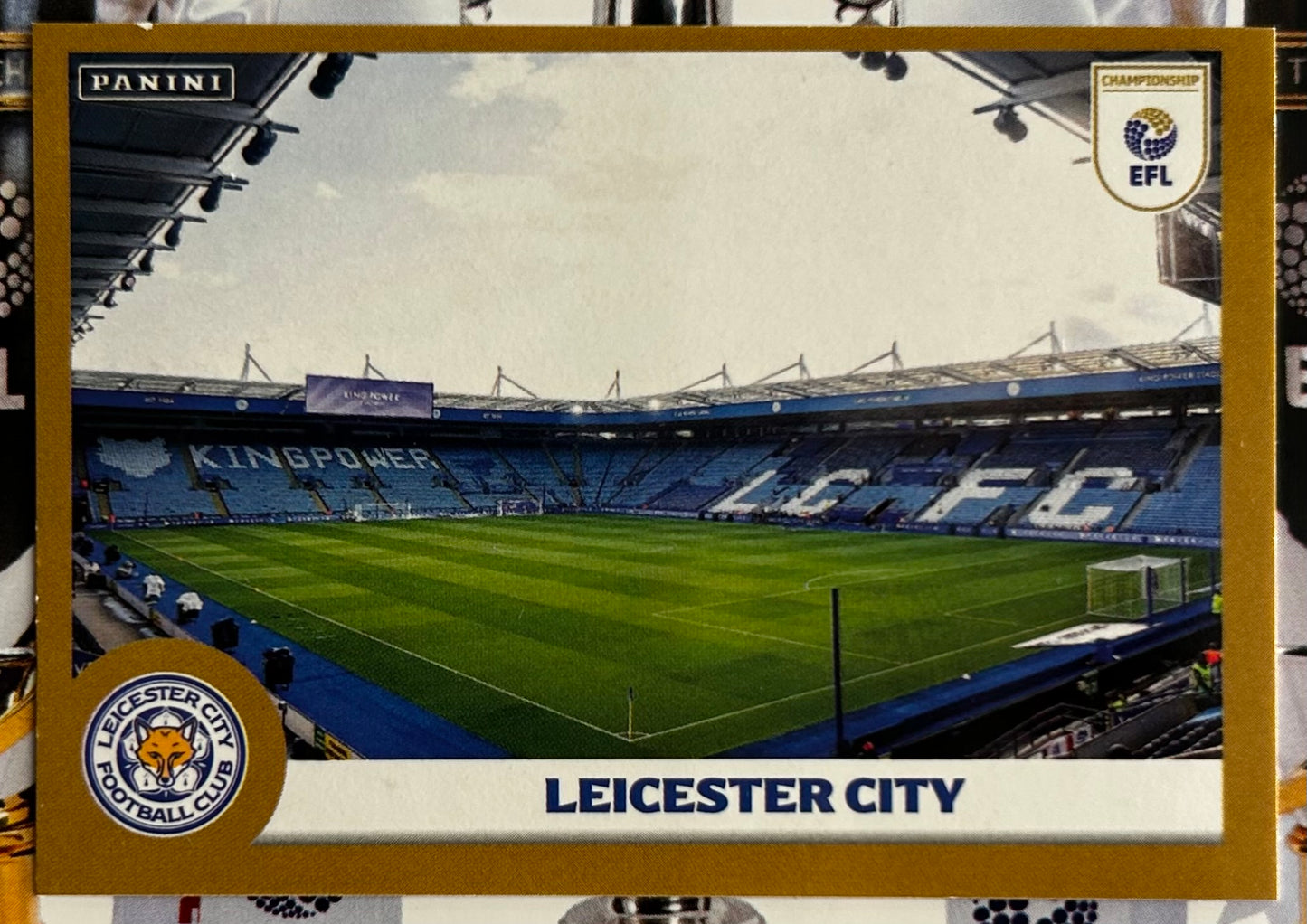 Panini EFL 2025-26 Sticker Collection - Single LEICESTER CITY Stickers (#161 - #178)