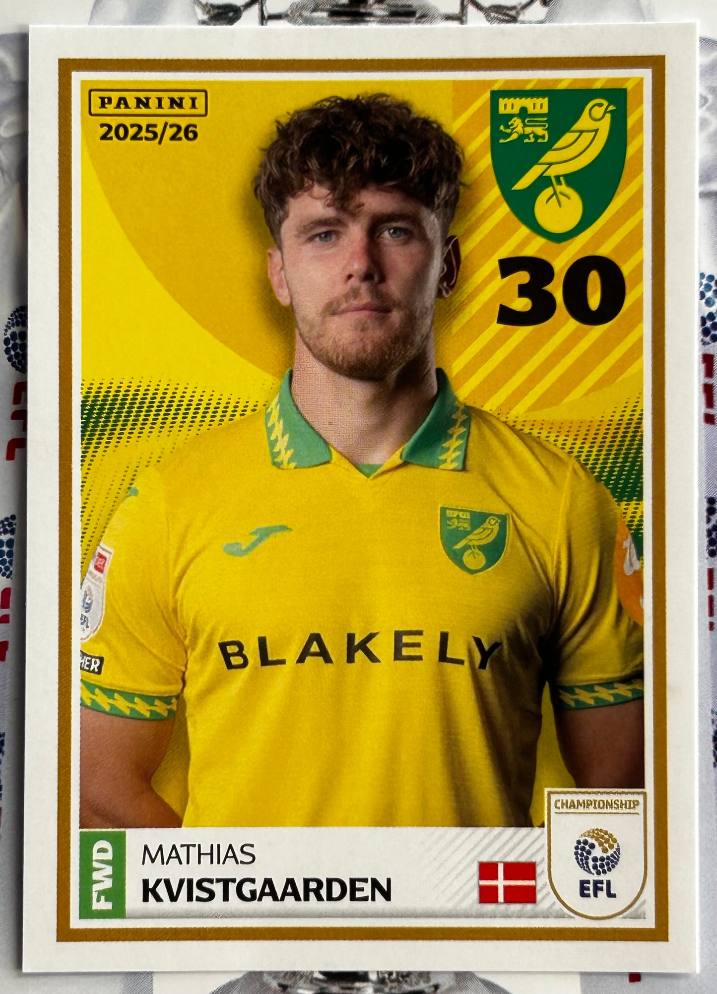 Panini EFL 2025-26 Sticker Collection - Single NORWICH CITY Stickers (#215 - #232)