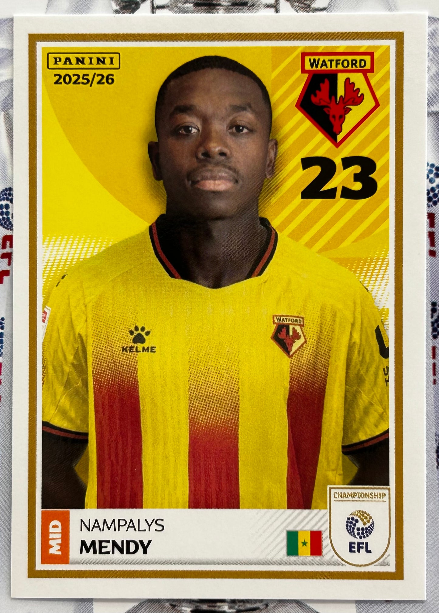 Panini EFL 2025-26 Sticker Collection - Single WATFORD Stickers (#419 - #436)