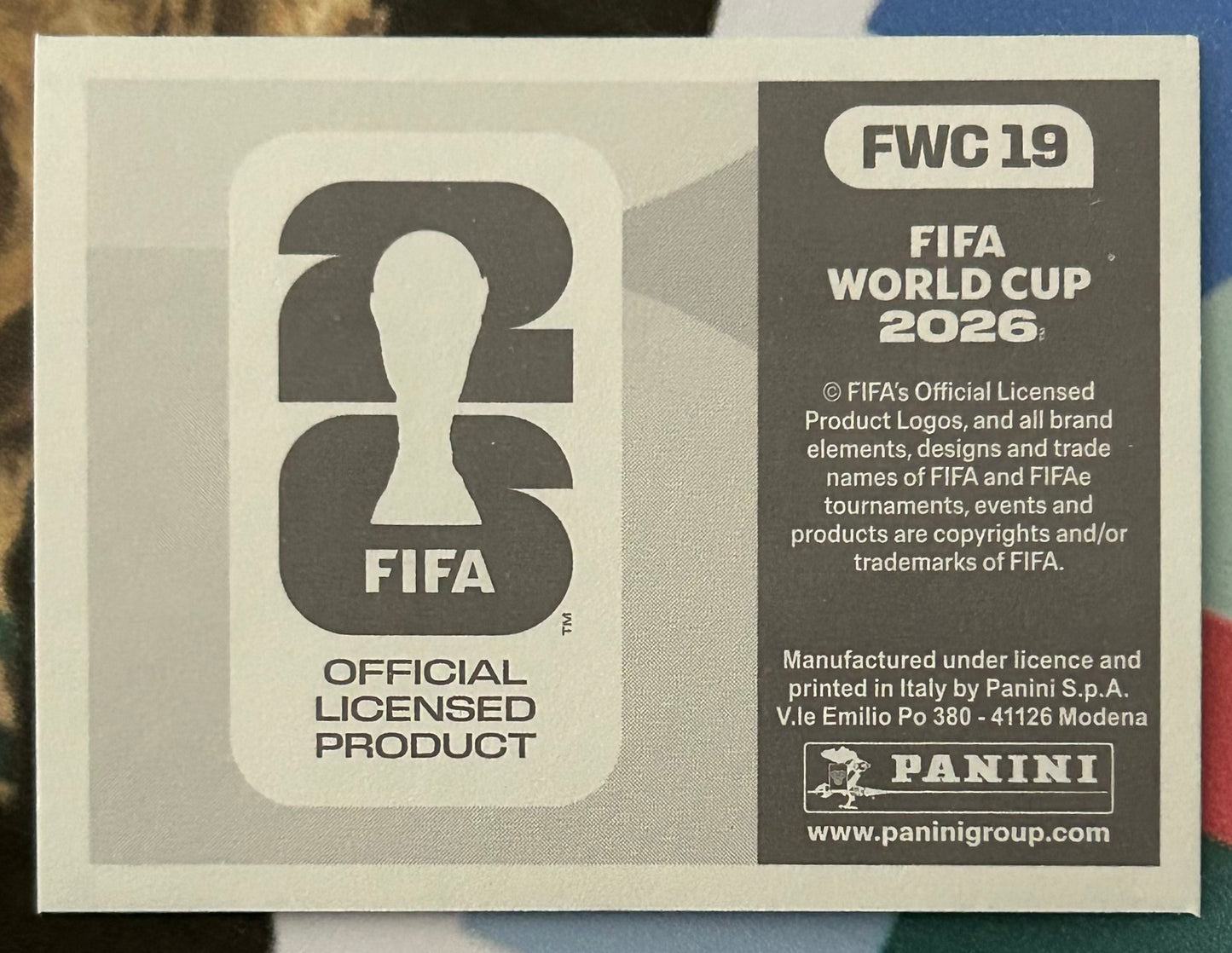 Panini FIFA World Cup 2026 Official Sticker Collection - TEAM PHOTO (ARGENTINA 2022) World Cup History Sticker FWC19