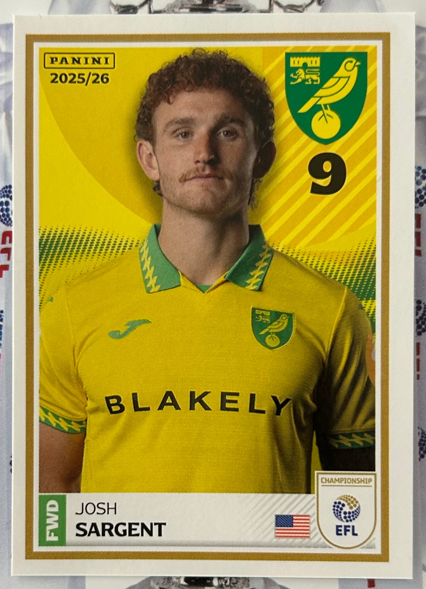 Panini EFL 2025-26 Sticker Collection - Single NORWICH CITY Stickers (#215 - #232)