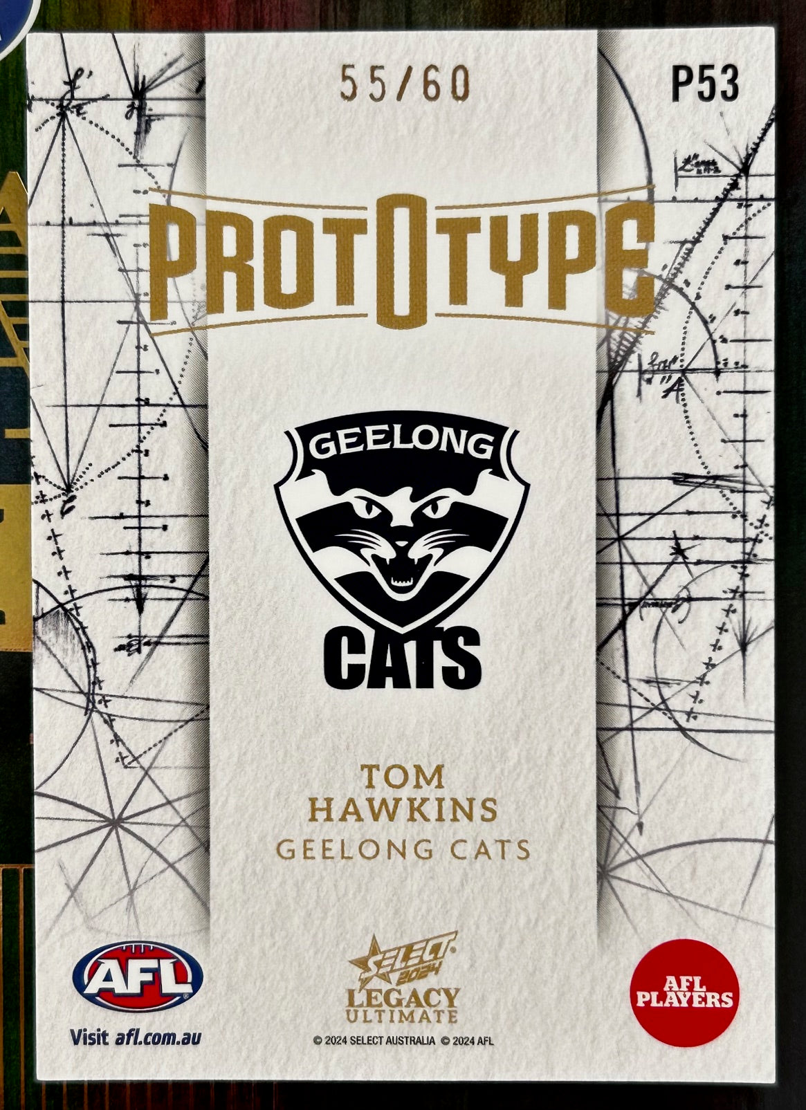 Select AFL Legacy 2024 - TOM HAWKINS (GEELONG CATS) Prototype P53 /60