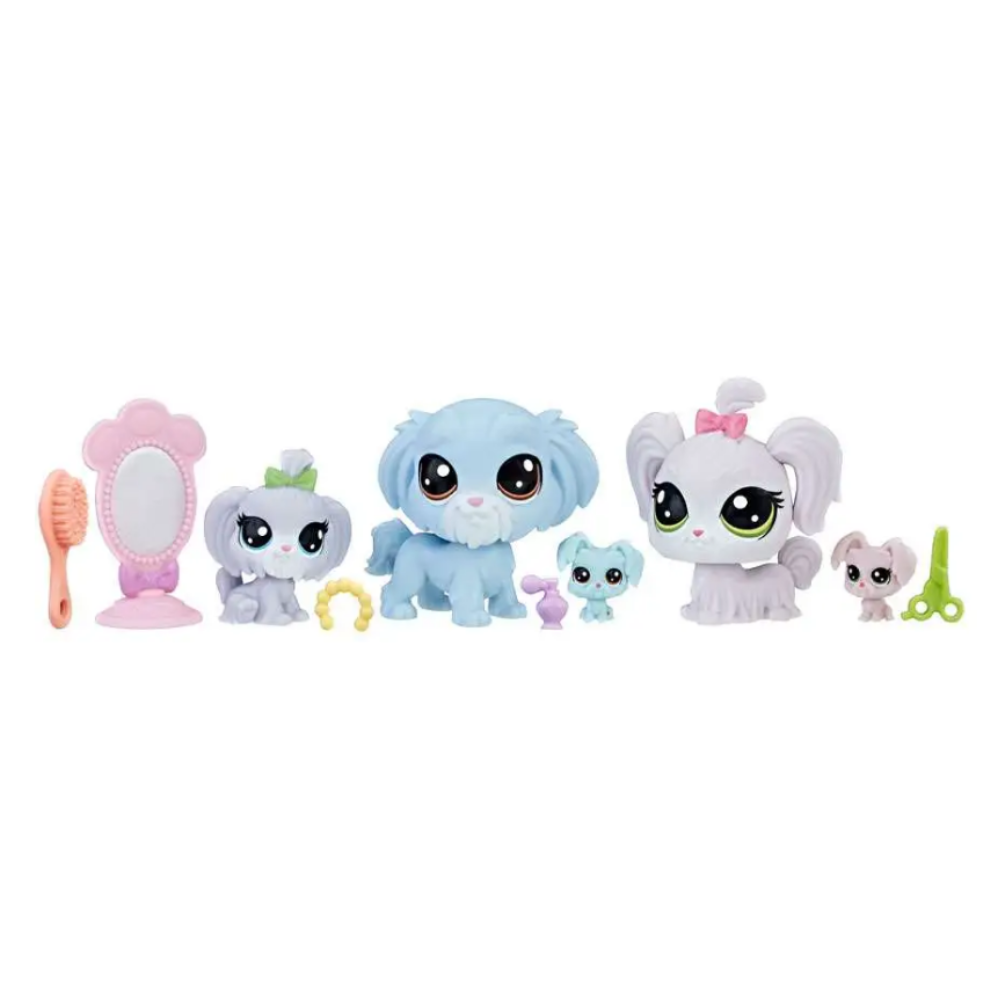 Littlest Pet Shop FAB-LOOKIN' FAM Series 1 C2097 (2017 Release)