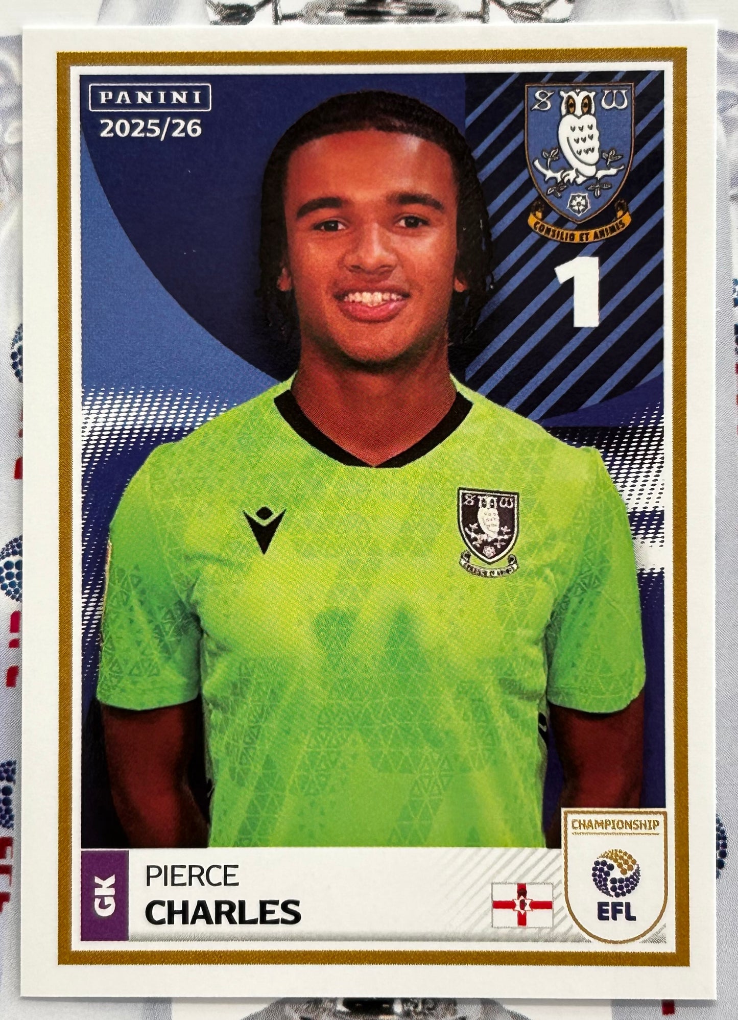 Panini EFL 2025-26 Sticker Collection - Single SHEFFIELD WEDNESDAY Stickers (#347 - #364)
