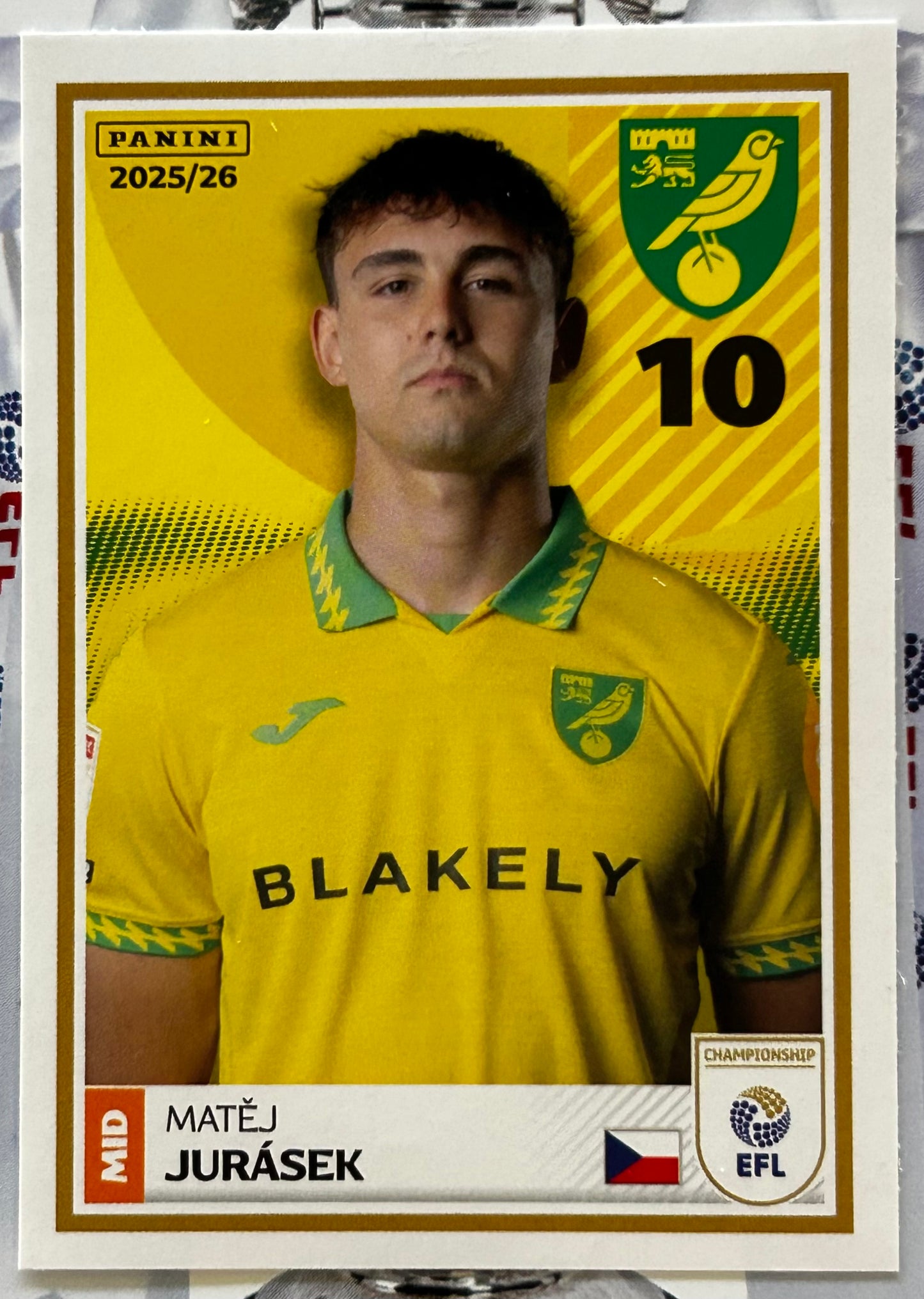Panini EFL 2025-26 Sticker Collection - Single NORWICH CITY Stickers (#215 - #232)
