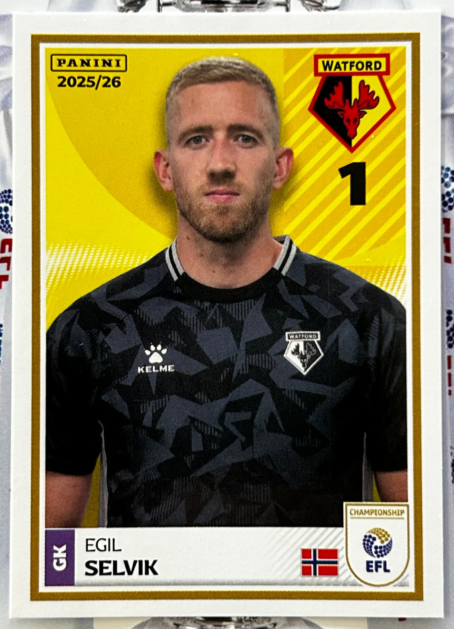 Panini EFL 2025-26 Sticker Collection - Single WATFORD Stickers (#419 - #436)