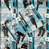 2022 Cricket Australia Traders - Single BRISBANE HEAT Trading Cards (#070 - #081)