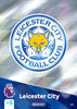 Panini Adrenalyn XL Premier League 2025 - Single LEICESTER CITY Cards (#190 - #207)