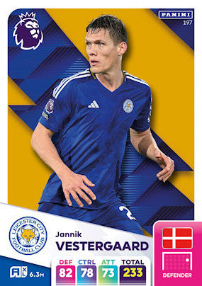 Panini Adrenalyn XL Premier League 2025 - Single LEICESTER CITY Cards (#190 - #207)