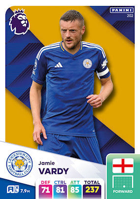 Panini Adrenalyn XL Premier League 2025 - Single LEICESTER CITY Cards (#190 - #207)