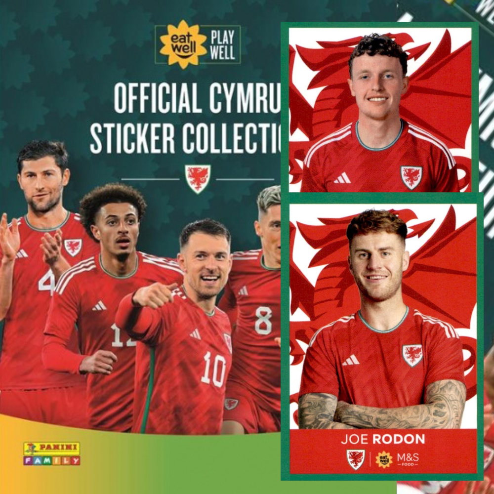 2024 Panini Family x M&S Food Sticker Collection - Single WALES NATIONAL TEAM Stickers (#1 - #25)