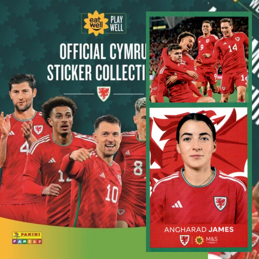 2024 Panini Family x M&S Food Sticker Collection - Single WALES NATIONAL TEAM Stickers (#26 - #50)