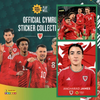 2024 Panini Family x M&S Food Sticker Collection - Single WALES NATIONAL TEAM Stickers (#26 - #50)