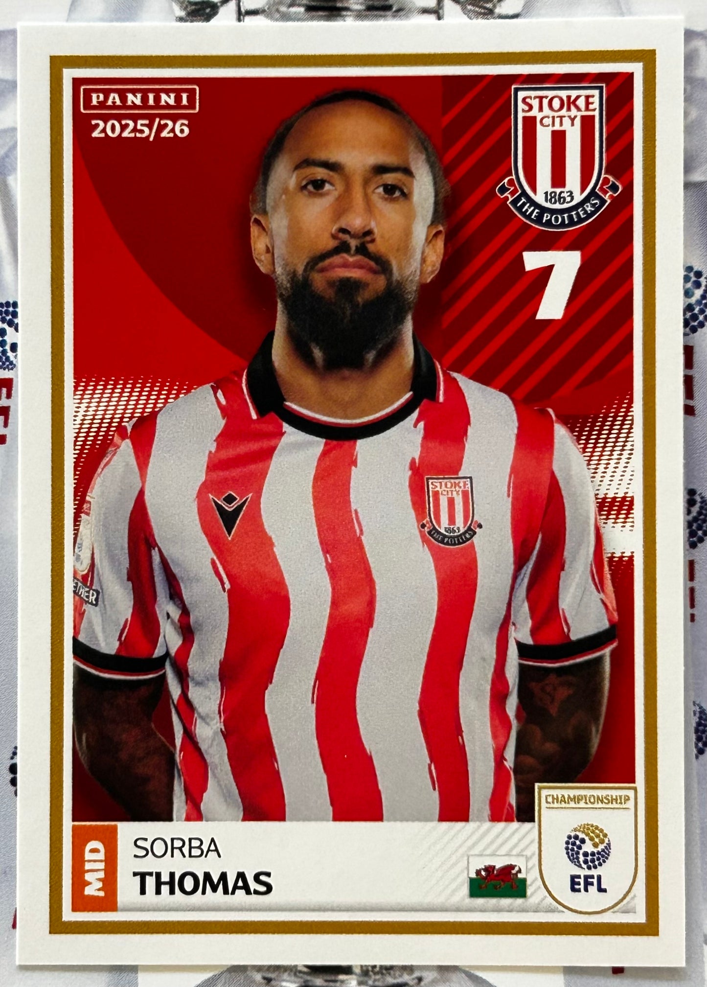 Panini EFL 2025-26 Sticker Collection - Single STOKE CITY Stickers (#383 - #400)