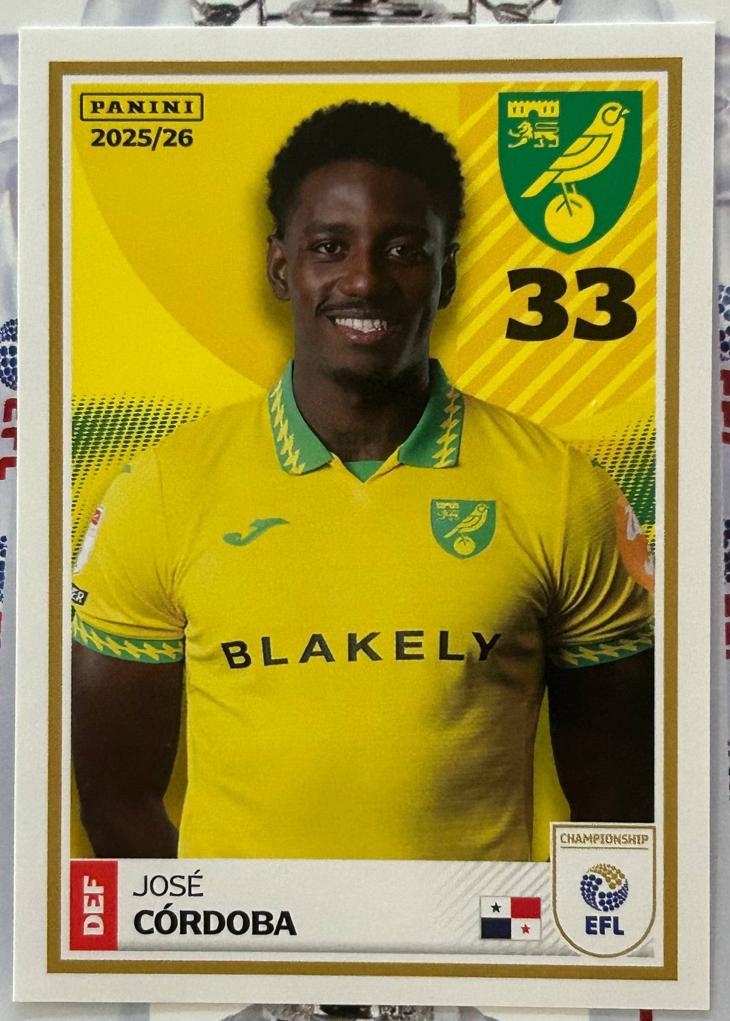Panini EFL 2025-26 Sticker Collection - Single NORWICH CITY Stickers (#215 - #232)