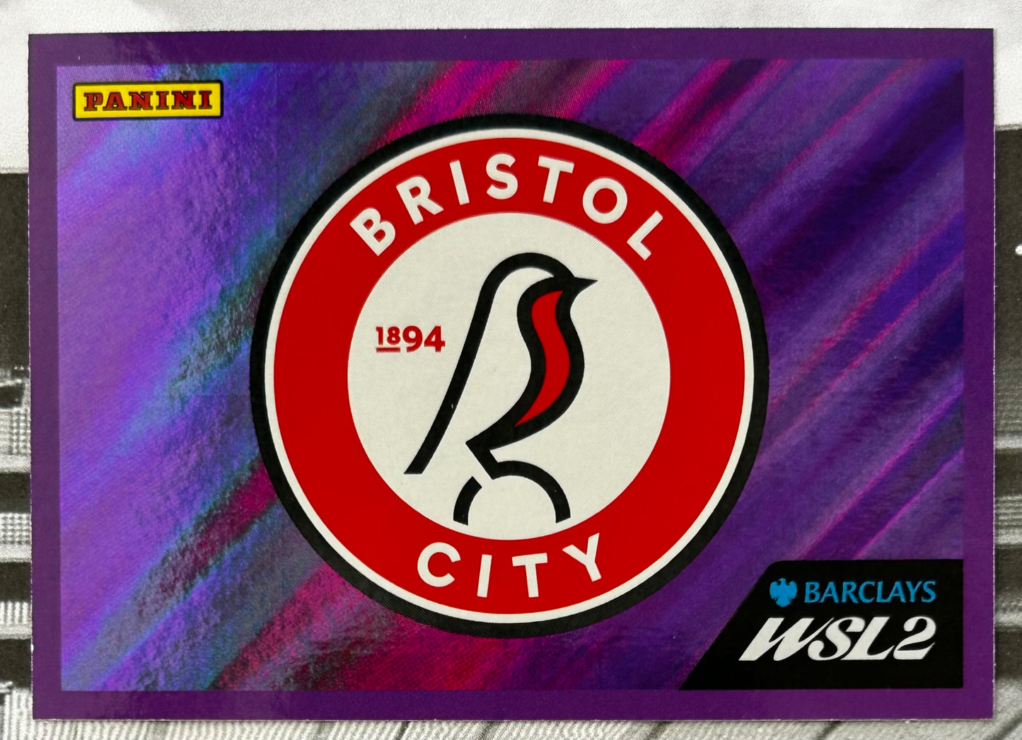 Panini Barclays Women's Super League 2026 Sticker Collection - SINGLE WSL2 STICKERS (#446 - #511)