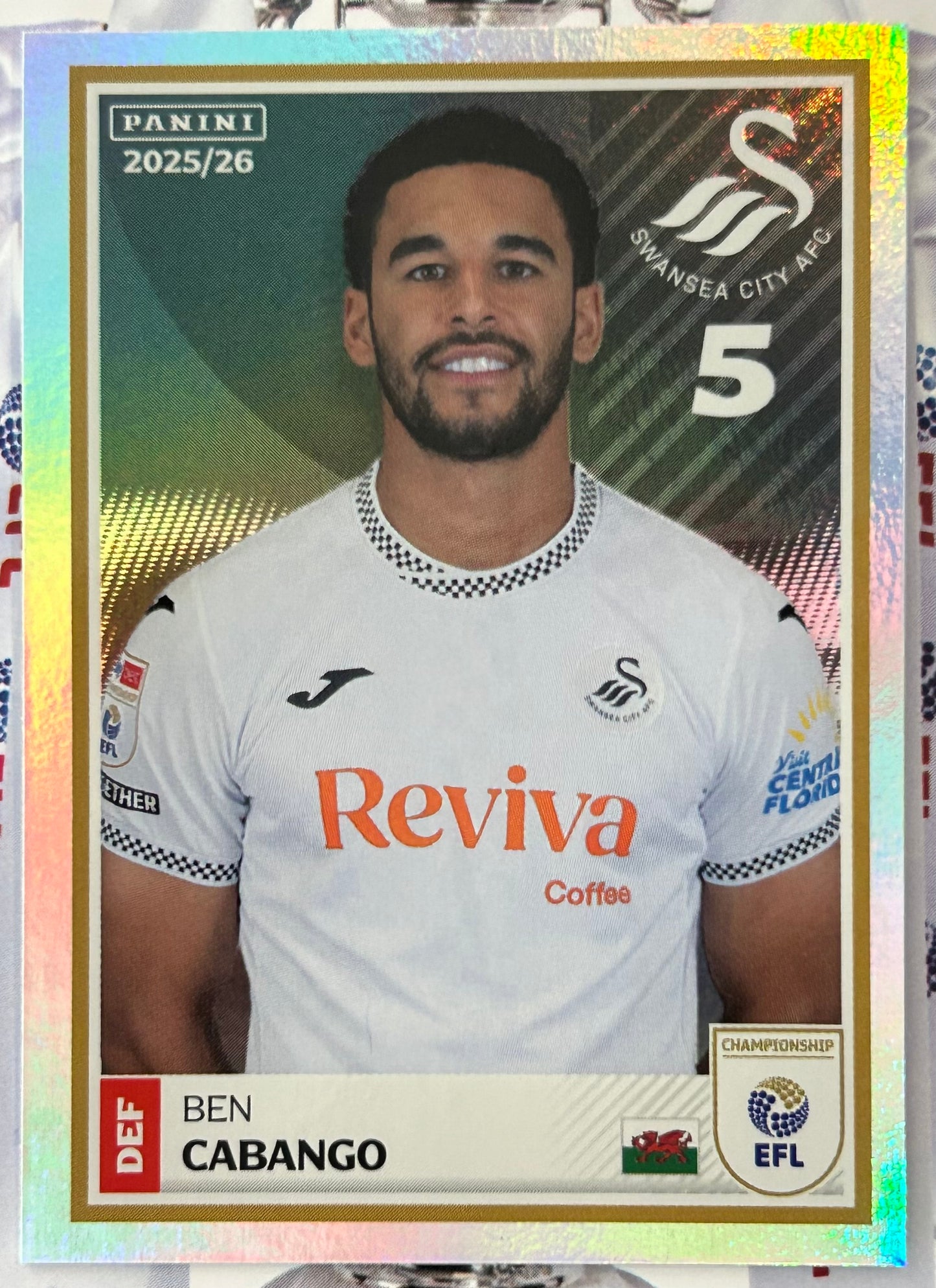 Panini EFL 2025-26 Sticker Collection - Single SWANSEA CITY Stickers (#401 - #418)