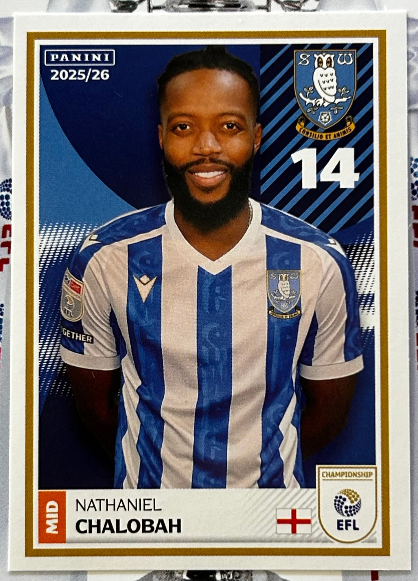 Panini EFL 2025-26 Sticker Collection - Single SHEFFIELD WEDNESDAY Stickers (#347 - #364)