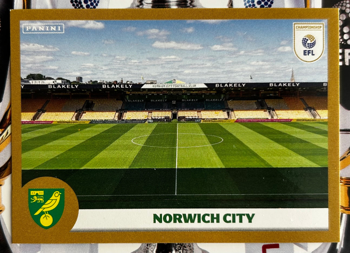 Panini EFL 2025-26 Sticker Collection - Single NORWICH CITY Stickers (#215 - #232)