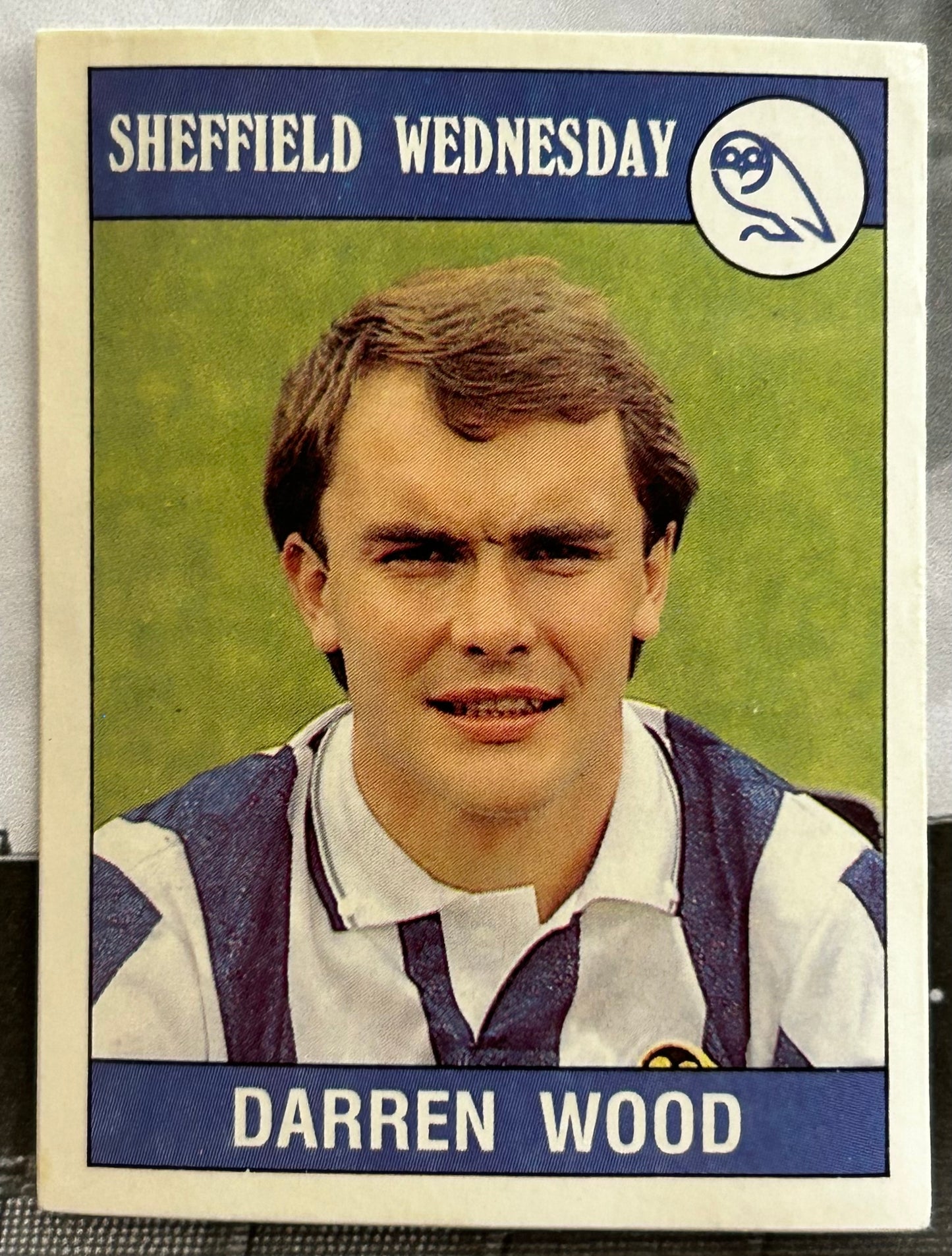 Panini Football 90 Sticker - DARREN WOOD (SHEFFIELD WEDNESDAY) #248