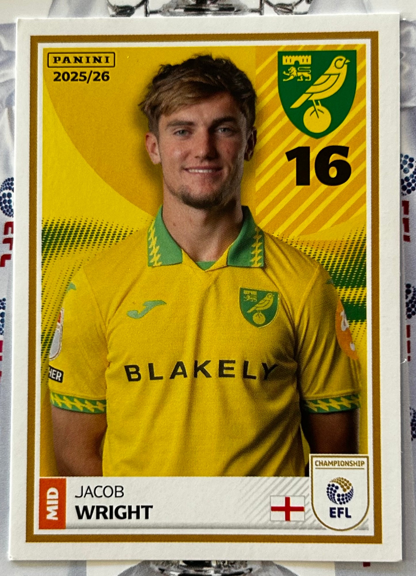 Panini EFL 2025-26 Sticker Collection - Single NORWICH CITY Stickers (#215 - #232)