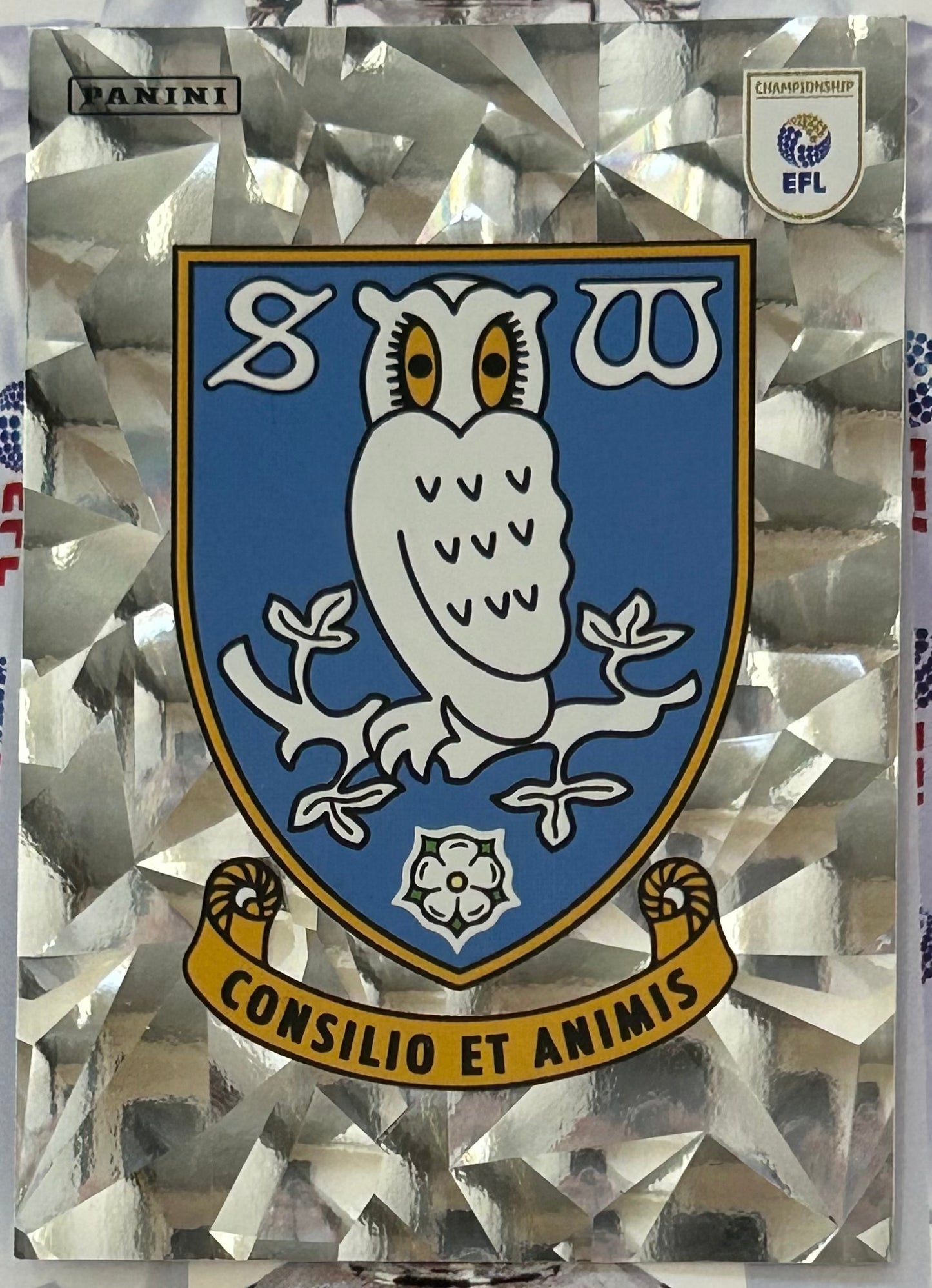Panini EFL 2025-26 Sticker Collection - Single SHEFFIELD WEDNESDAY Stickers (#347 - #364)