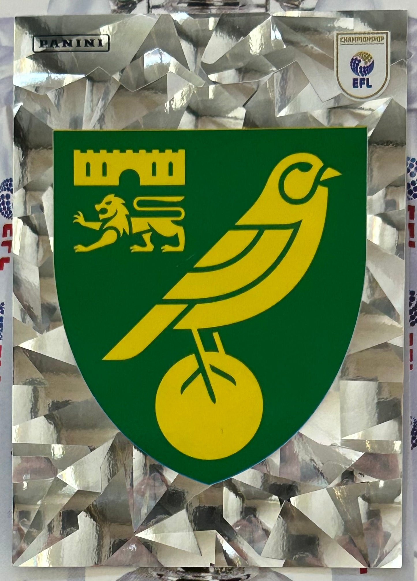 Panini EFL 2025-26 Sticker Collection - Single NORWICH CITY Stickers (#215 - #232)