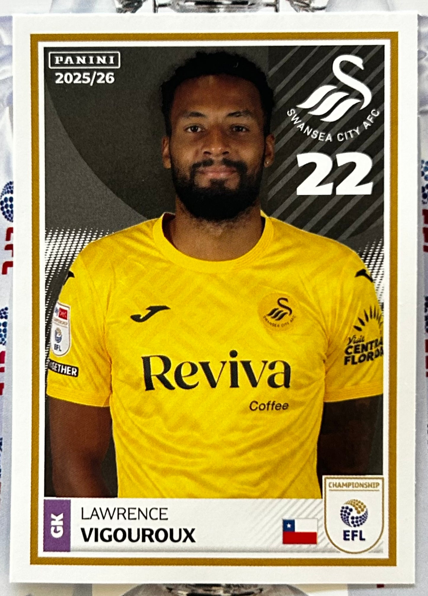 Panini EFL 2025-26 Sticker Collection - Single SWANSEA CITY Stickers (#401 - #418)