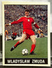 Panini Football 90 Sticker - WLADYSLAW ZMUDA (POLAND) World Cup Stars #320