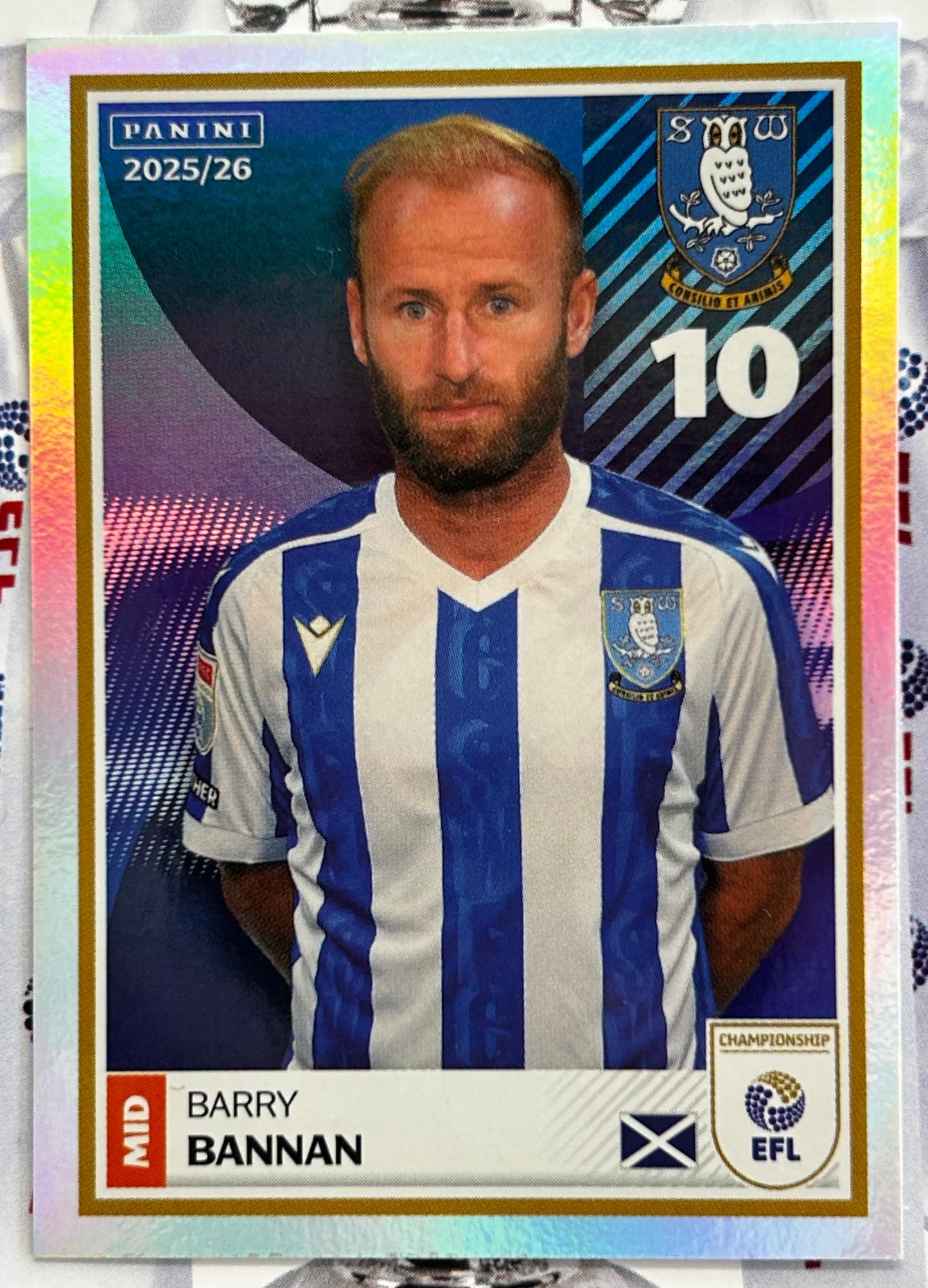 Panini EFL 2025-26 Sticker Collection - Single SHEFFIELD WEDNESDAY Stickers (#347 - #364)
