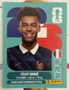 Panini FIFA World Cup 2026 Official Sticker Collection - DESIRE DOUE (FRANCE) FRA17