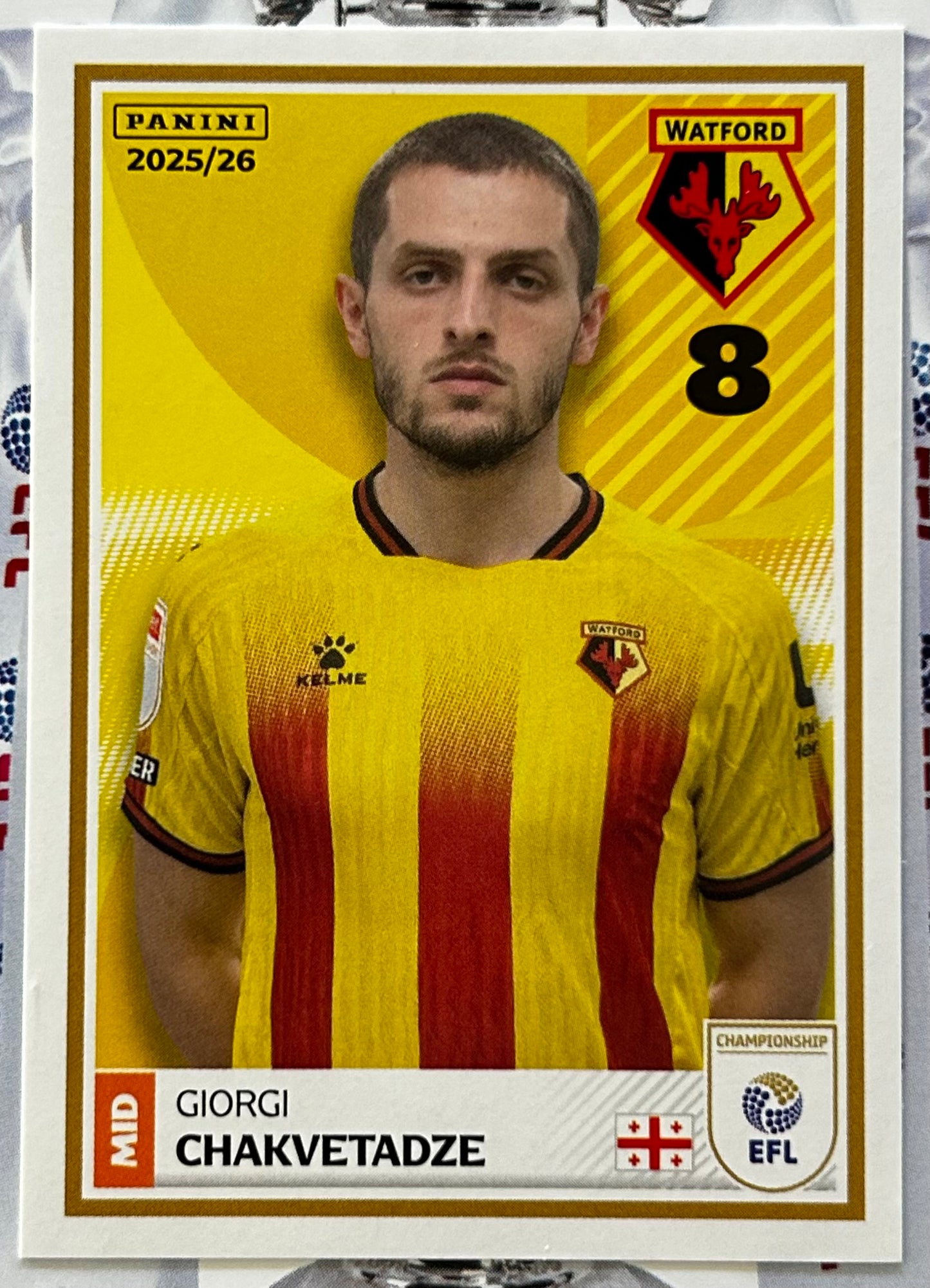 Panini EFL 2025-26 Sticker Collection - Single WATFORD Stickers (#419 - #436)