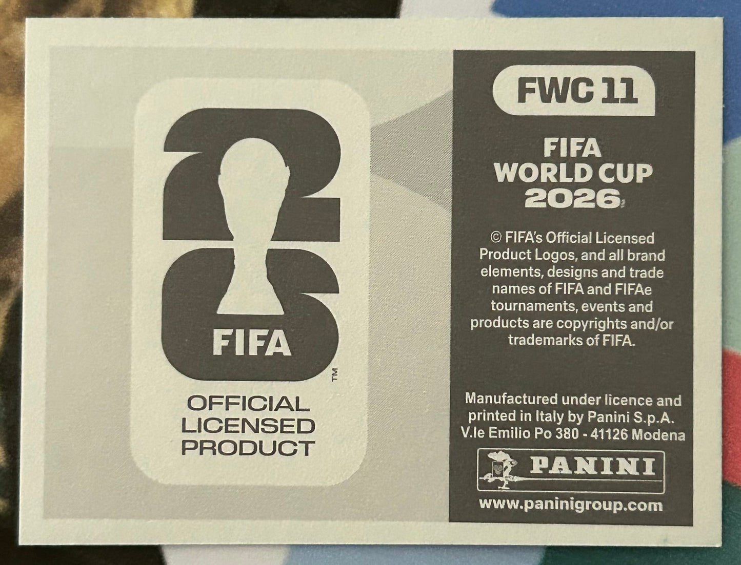 Panini FIFA World Cup 2026 Official Sticker Collection - TEAM PHOTO (WEST GERMANY 1954) World Cup History Sticker FWC11