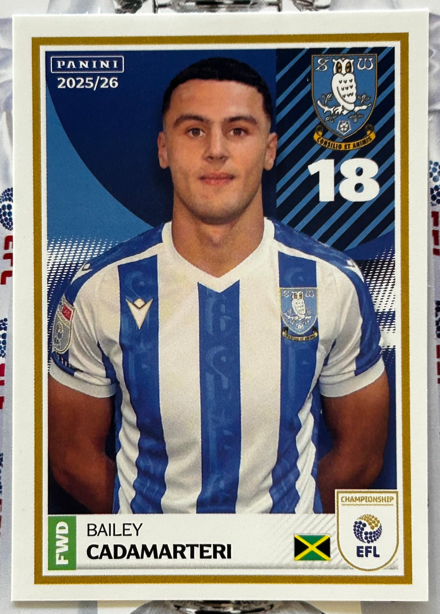 Panini EFL 2025-26 Sticker Collection - Single SHEFFIELD WEDNESDAY Stickers (#347 - #364)