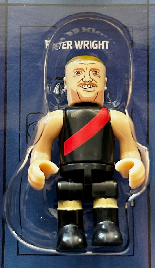 AFL Micro-Figures 2024 - PETER WRIGHT (Essendon) Classic Players