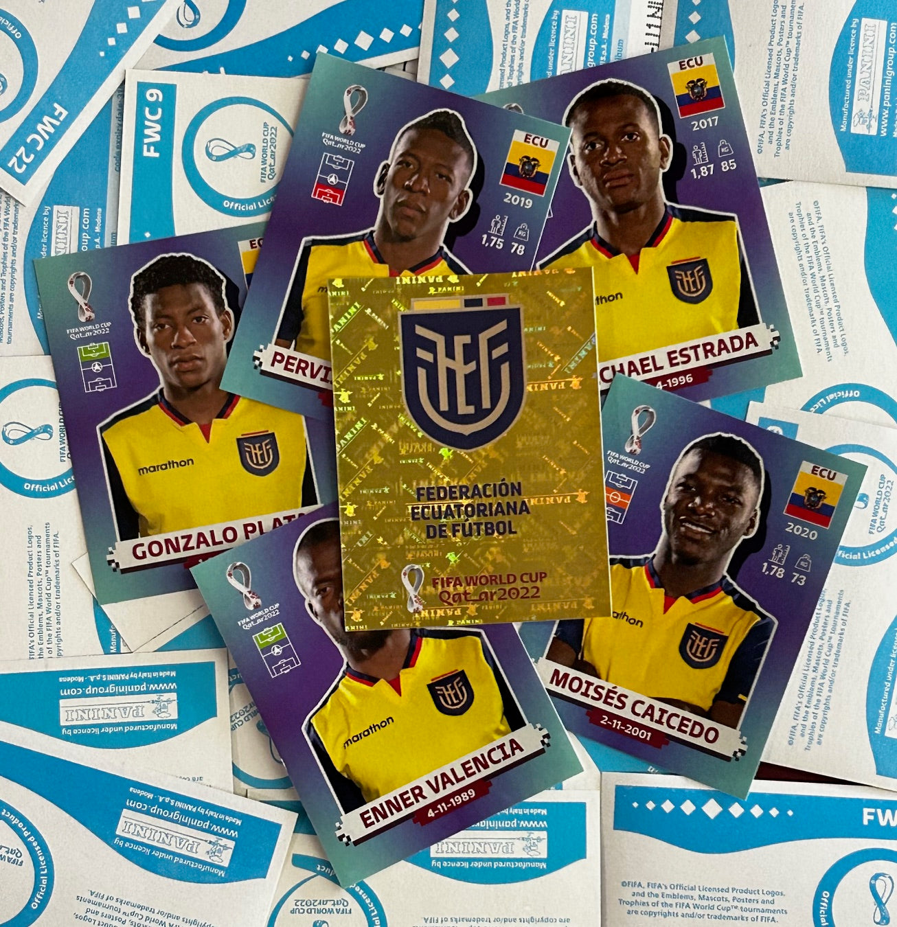 Panini FIFA World Cup Qatar 2022 Sticker Collection - Single ECUADOR Stickers (ECU1 - ECU20)