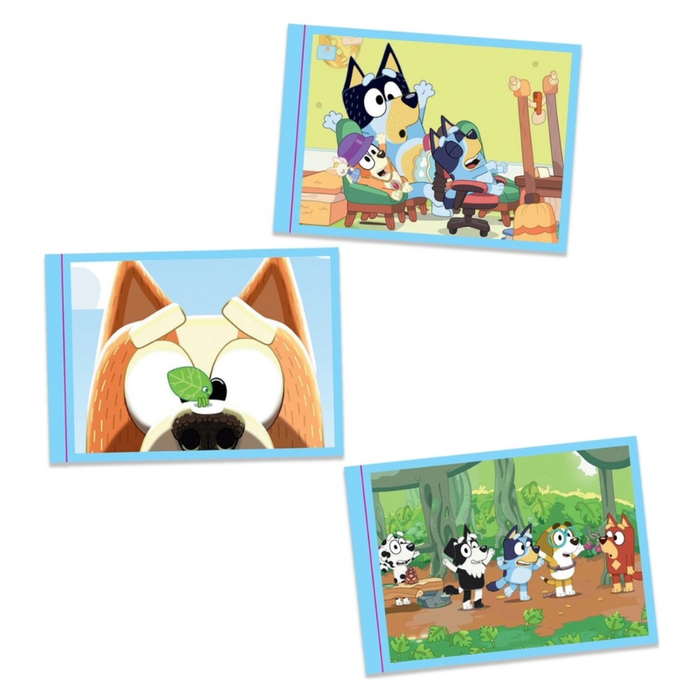 Bluey Sticker Fun 2024 Panini Bluey Sticker Collection - Starter Pack – JaqJnr